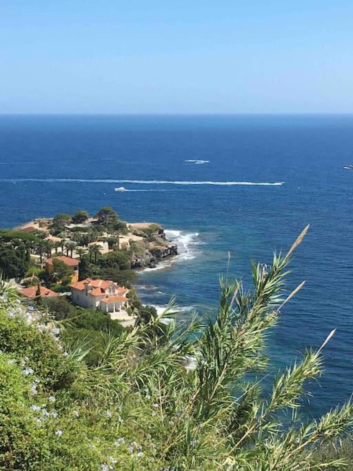 Vue Mer Incroyable Aux Portes De Monaco กัปไดล์ ภายนอก รูปภาพ